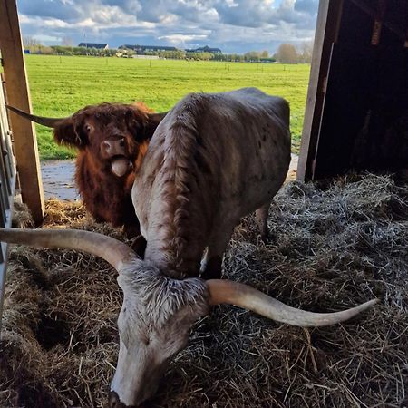 阿克斯洛特Bed&Bbq Longhornranch公寓 外观 照片